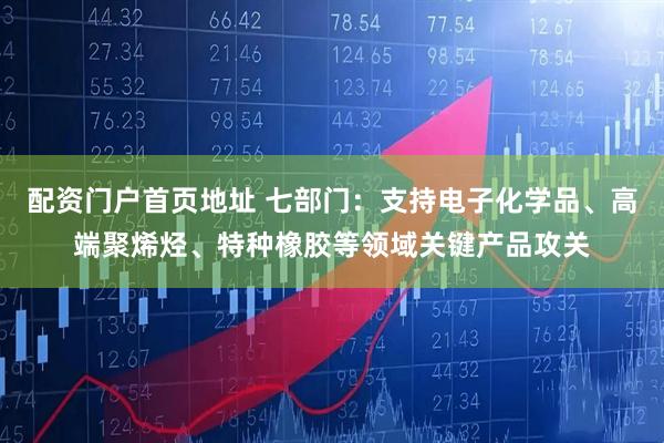 配资门户首页地址 七部门：支持电子化学品、高端聚烯烃、特种橡胶等领域关键产品攻关